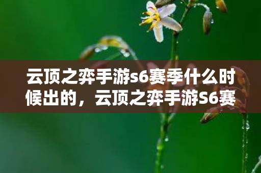 云顶之弈手游s6赛季什么时候出的，云顶之弈手游S6赛季上线时间预测与分析