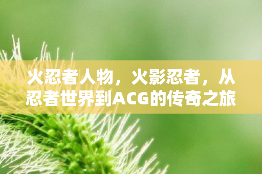 火忍者人物，火影忍者，从忍者世界到ACG的传奇之旅