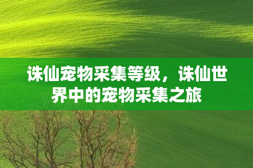 诛仙宠物采集等级，诛仙世界中的宠物采集之旅