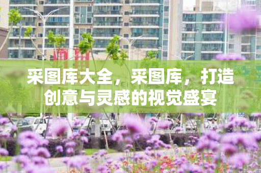 打造创意与灵感的视觉盛宴图片