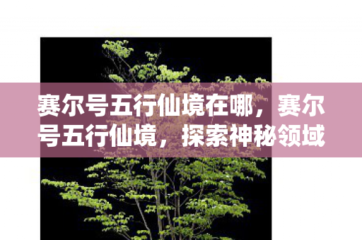 探索神秘领域的奇幻之旅图片