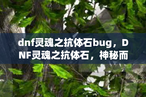 dnf灵魂之抗体石bug图片