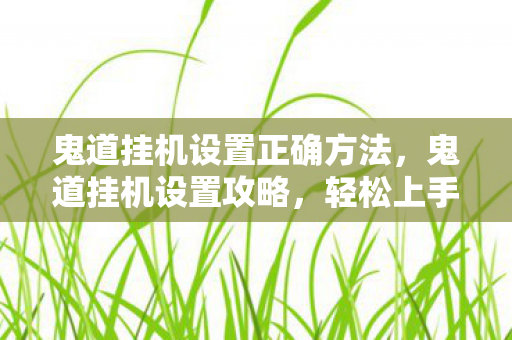 鬼道挂机设置正确方法，鬼道挂机设置攻略，轻松上手，提升游戏体验