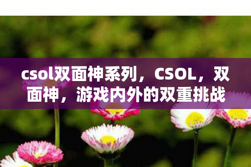 csol双面神系列,CSOL,双面神,游戏内外的双重挑战 csol双面神系列,CSOL,双面神,游戏内外的双重挑战
