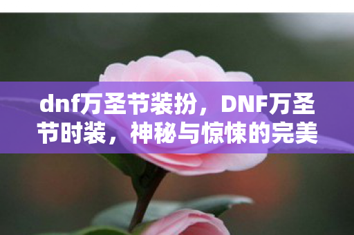 dnf万圣节装扮,DNF万圣节时装,神秘与惊悚的完美结合 dnf万圣节装扮,DNF万圣节时装,神秘与惊悚的完美结合