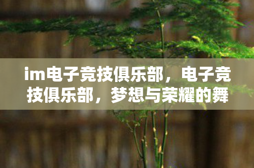 im电子竞技俱乐部图片