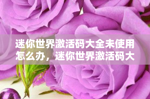 迷你世界激活码大全未使用怎么办,迷你世界激活码大全未使用,解锁无限可能的创意世界 迷你世界激活码大全未使用怎么办,迷你世界激活码大全未使用,解锁无限可能的创意世界