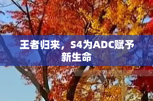 王者归来，S4为ADC赋予新生命