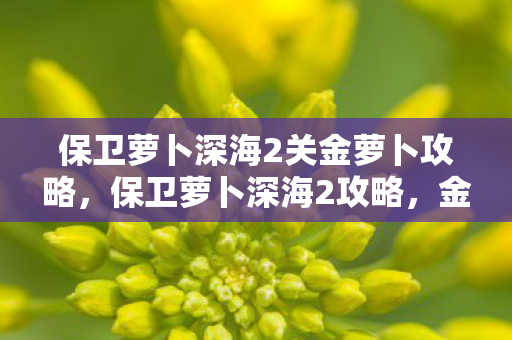 保卫萝卜深海2关金萝卜攻略,保卫萝卜深海2攻略,金萝卜布阵图全解析 保卫萝卜深海2关金萝卜攻略,保卫萝卜深海2攻略,金萝卜布阵图全解析