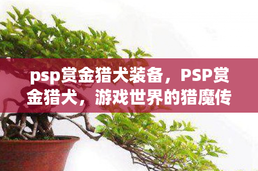 psp赏金猎犬装备，PSP赏金猎犬，游戏世界的猎魔传奇