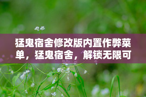 猛鬼宿舍修改版内置作弊菜单，猛鬼宿舍，解锁无限可能的修改版体验