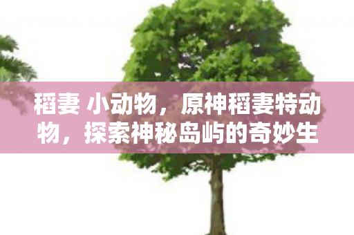 探索神秘岛屿的奇妙生物图片