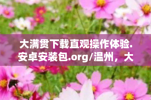 大满贯下载直观操作体验.安卓安装包.org/温州，大满贯下载，解锁体育竞技的激情瞬间