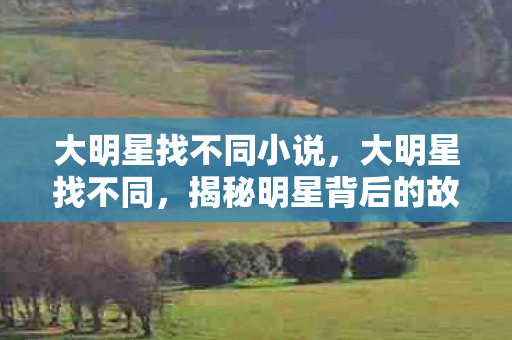 大明星找不同小说,大明星找不同,揭秘明星背后的故事 大明星找不同小说,大明星找不同,揭秘明星背后的故事