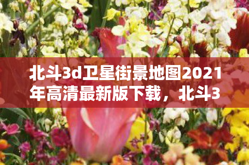 北斗3d卫星街景地图2021年高清最新版下载，北斗3D卫星街景地图，探索世界的全新视角