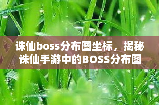 诛仙boss分布图坐标，揭秘诛仙手游中的BOSS分布图，攻略与战斗策略