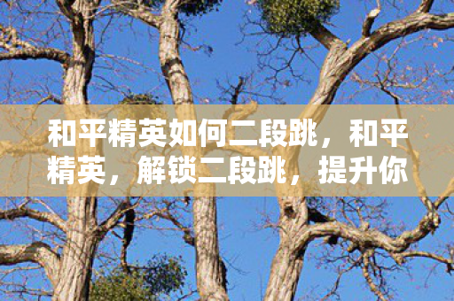 和平精英如何二段跳，和平精英，解锁二段跳，提升你的游戏技巧