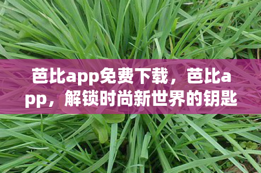 芭比app免费下载，芭比app，解锁时尚新世界的钥匙