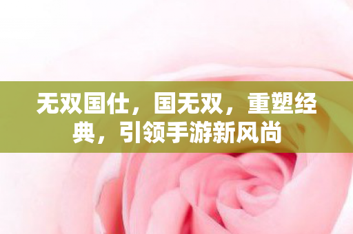 无双国仕，国无双，重塑经典，引领手游新风尚