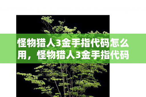 怪物猎人3金手指代码怎么用，怪物猎人3金手指代码，解锁无限可能的游戏体验