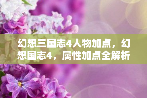 幻想三国志4人物加点，幻想国志4，属性加点全解析