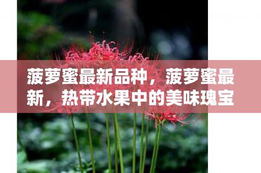 菠萝蜜最新品种，菠萝蜜最新，热带水果中的美味瑰宝