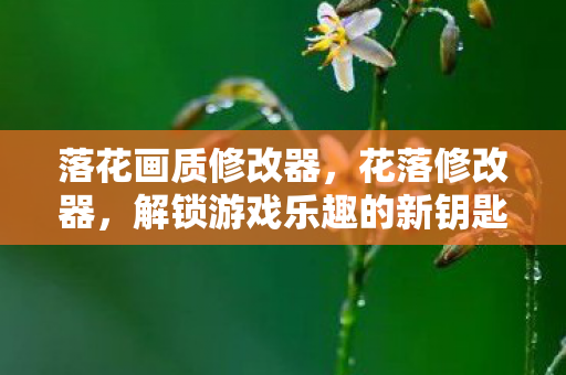 落花画质修改器，花落修改器，解锁游戏乐趣的新钥匙