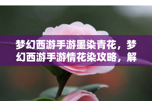 梦幻西游手游墨染青花，梦幻西游手游情花染攻略，解锁浪漫剧情，提升角色魅力