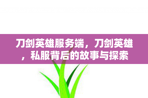 刀剑英雄服务端,刀剑英雄,私服背后的故事与探索 刀剑英雄服务端,刀剑英雄,私服背后的故事与探索