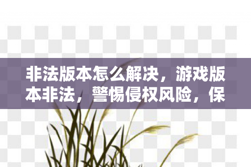 非法版本怎么解决,游戏版本非法,警惕侵权风险,保护正版权益 非法版本怎么解决,游戏版本非法,警惕侵权风险,保护正版权益
