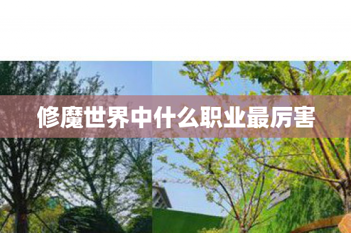 修魔世界中什么职业最厉害