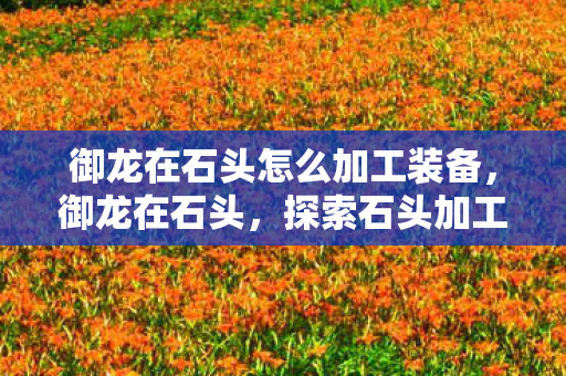 御龙在石头怎么加工装备，御龙在石头，探索石头加工的艺术与奥秘