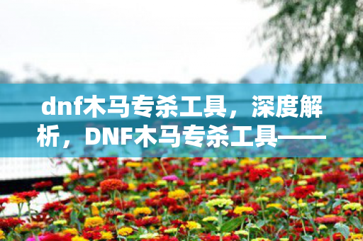 dnf木马专杀工具，深度解析，DNF木马专杀工具——守护你的游戏安全