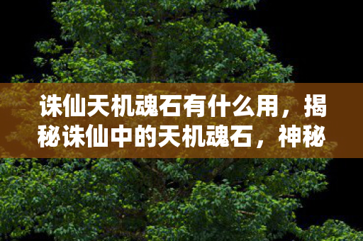 诛仙天机魂石有什么用，揭秘诛仙中的天机魂石，神秘力量的起源与奥秘