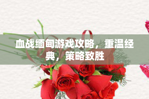 血战缅甸游戏攻略,重温经典,策略致胜 血战缅甸游戏攻略,重温经典,策略致胜