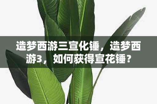 造梦西游三宣化锤，造梦西游3，如何获得宣花锤？