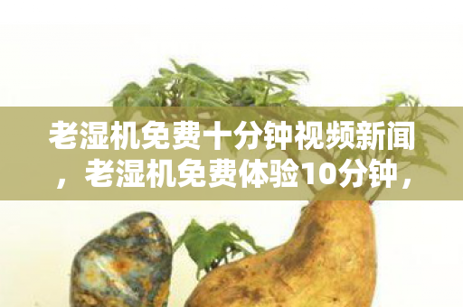 老湿机免费十分钟视频新闻，老湿机免费体验10分钟，揭秘短视频时代的娱乐新趋势