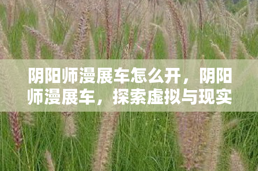 阴阳师漫展车怎么开,阴阳师漫展车,探索虚拟与现实的交界 阴阳师漫展车怎么开,阴阳师漫展车,探索虚拟与现实的交界