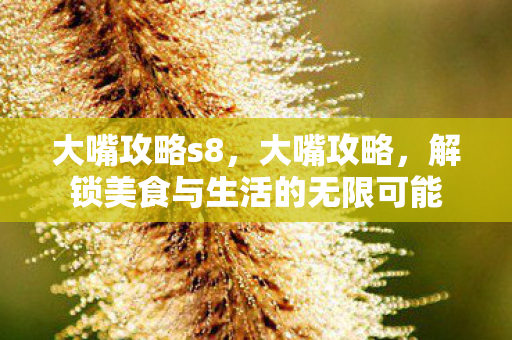 大嘴攻略s8,大嘴攻略,解锁美食与生活的无限可能 大嘴攻略s8,大嘴攻略,解锁美食与生活的无限可能