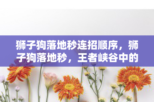 狮子狗落地秒连招顺序,狮子狗落地秒,王者峡谷中的瞬杀艺术 狮子狗落地秒连招顺序,狮子狗落地秒,王者峡谷中的瞬杀艺术