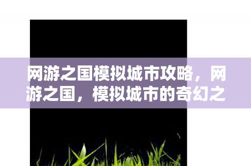 网游之国模拟城市攻略,网游之国,模拟城市的奇幻之旅 网游之国模拟城市攻略,网游之国,模拟城市的奇幻之旅