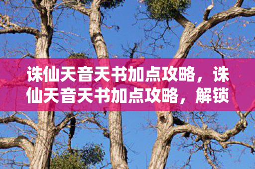 诛仙天音天书加点攻略，诛仙天音天书加点攻略，解锁你的修炼之路