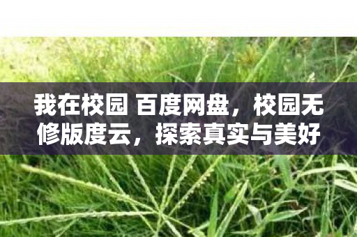 我在校园 百度网盘，校园无修版度云，探索真实与美好的教育空间
