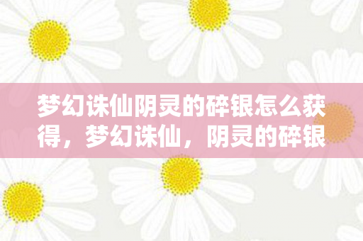梦幻诛仙阴灵的碎银怎么获得，梦幻诛仙，阴灵的碎银