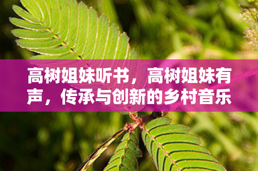 高树姐妹听书，高树姐妹有声，传承与创新的乡村音乐故事