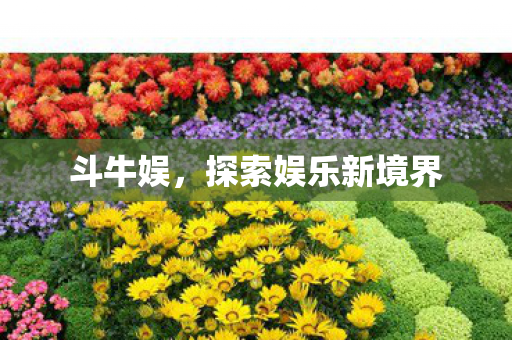 斗牛娱,探索娱乐新境界 斗牛娱,探索娱乐新境界