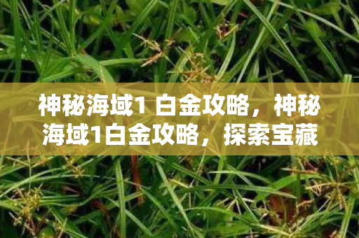 神秘海域1 白金攻略,神秘海域1白金攻略,探索宝藏,解锁所有成就 神秘海域1 白金攻略,神秘海域1白金攻略,探索宝藏,解锁所有成就