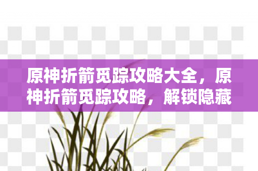 原神折箭觅踪攻略大全，原神折箭觅踪攻略，解锁隐藏任务，探索未知领域