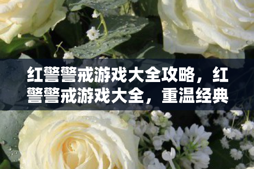 红警警戒游戏大全攻略,红警警戒游戏大全,重温经典,挑战未来 红警警戒游戏大全攻略,红警警戒游戏大全,重温经典,挑战未来