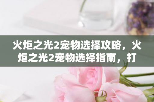 火炬之光2宠物选择攻略,火炬之光2宠物选择指南,打造你的专属战斗伙伴 火炬之光2宠物选择攻略,火炬之光2宠物选择指南,打造你的专属战斗伙伴